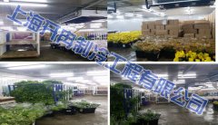 上海分尚網(wǎng)絡(luò)科技3.5萬m3鮮花陰涼庫(kù)設(shè)計(jì)